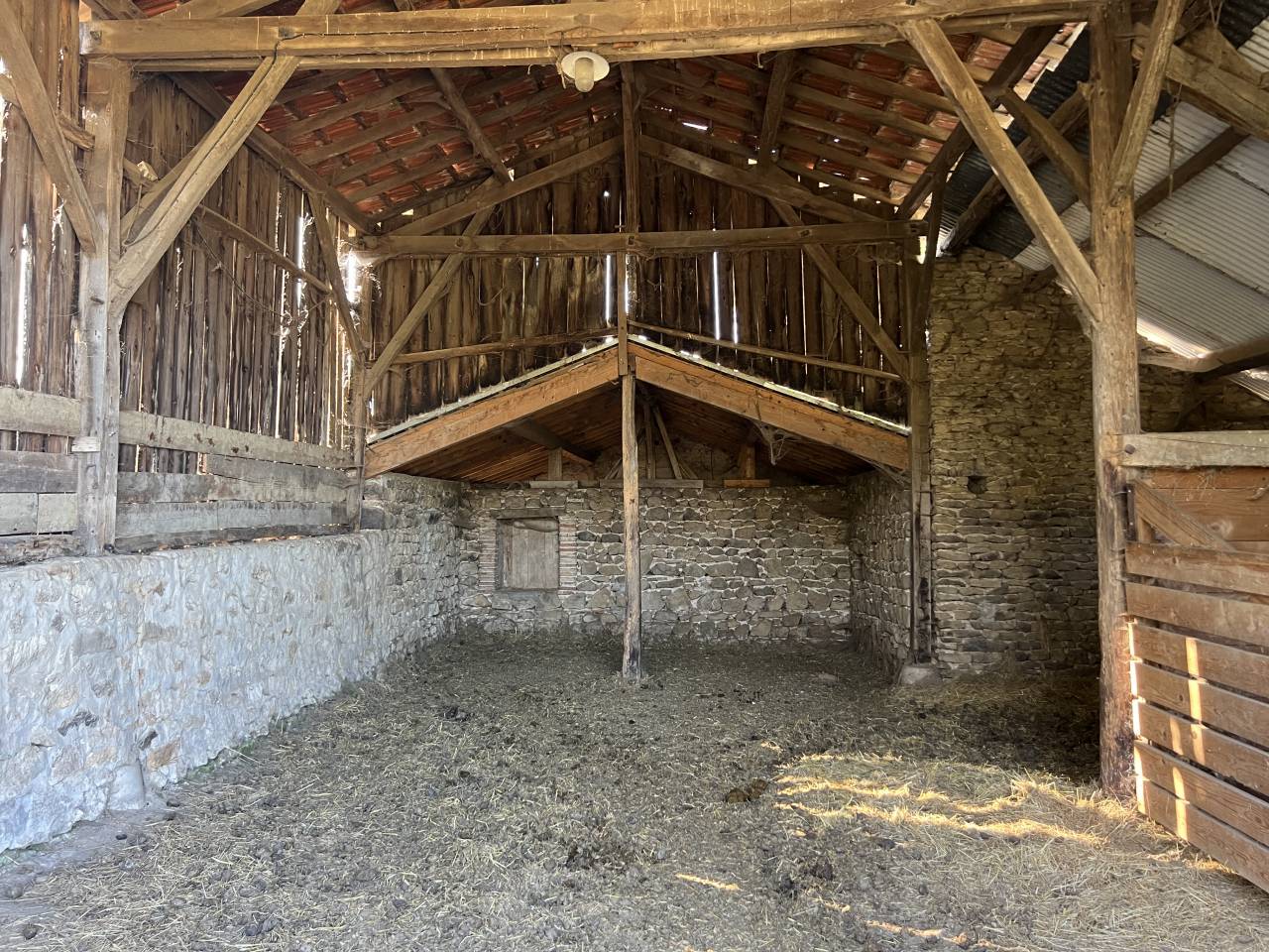 Stoeterij Koop Allier