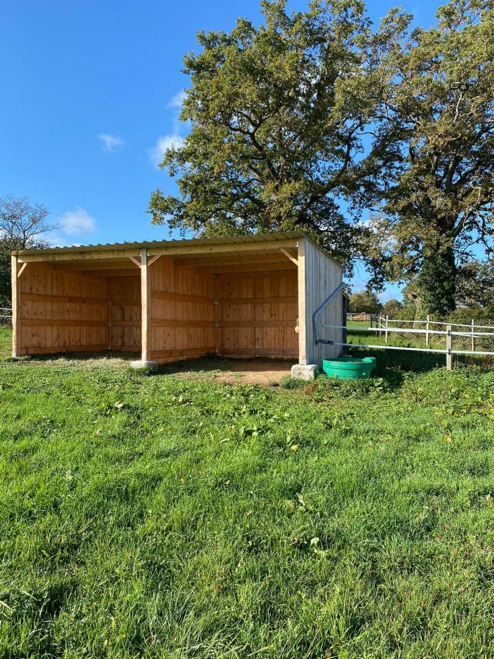 Stoeterij Koop Allier