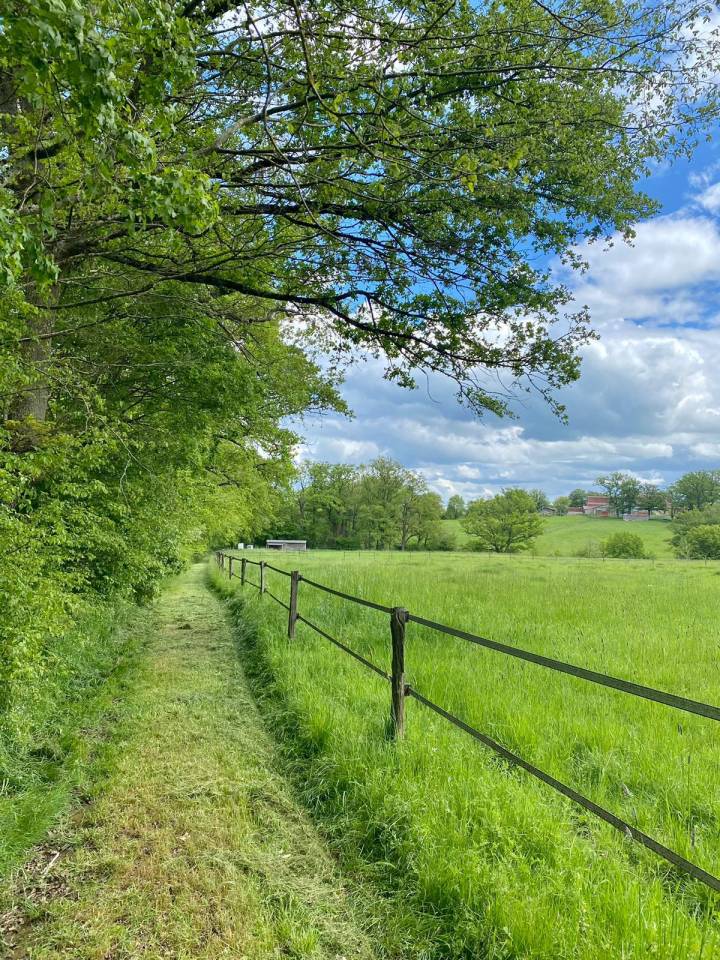 Stoeterij Koop Allier