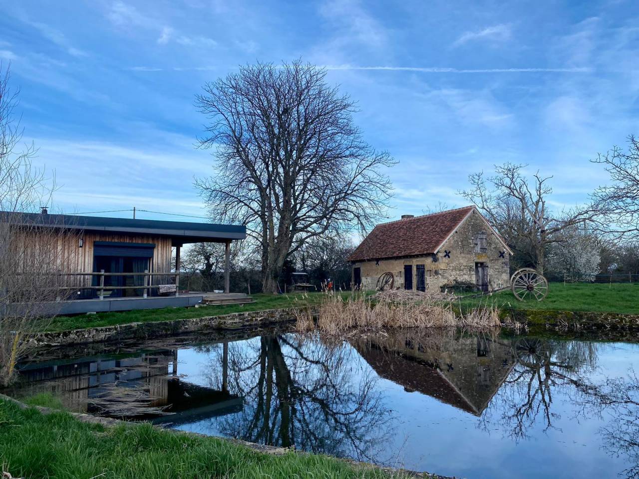 Stoeterij Koop Allier