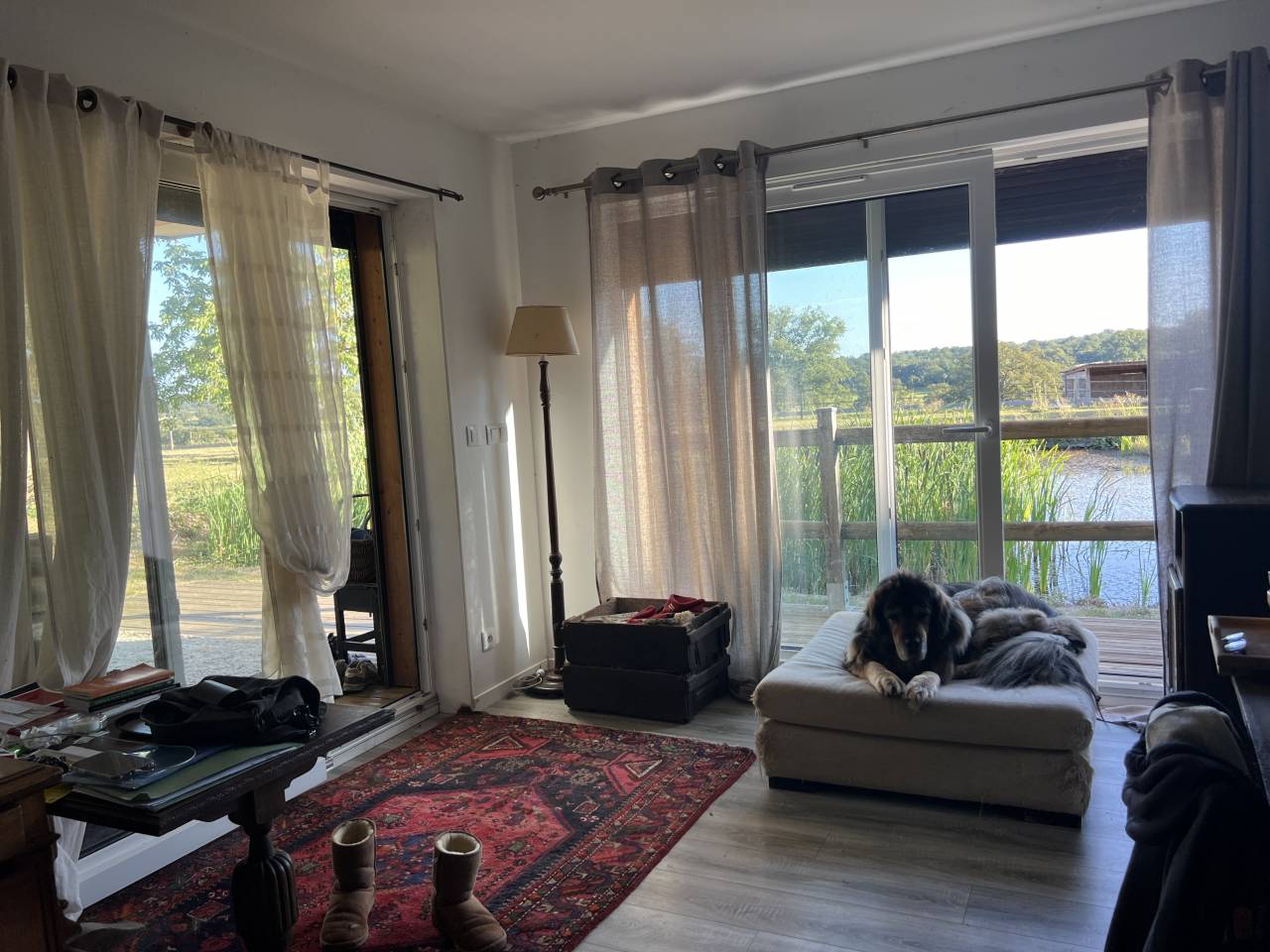 Stoeterij Koop Allier