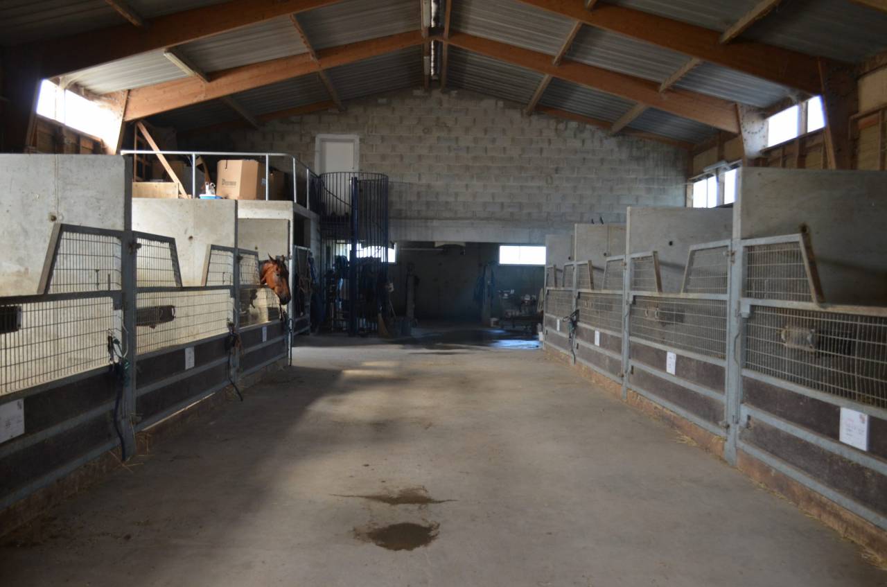 Stoeterij Koop Calvados