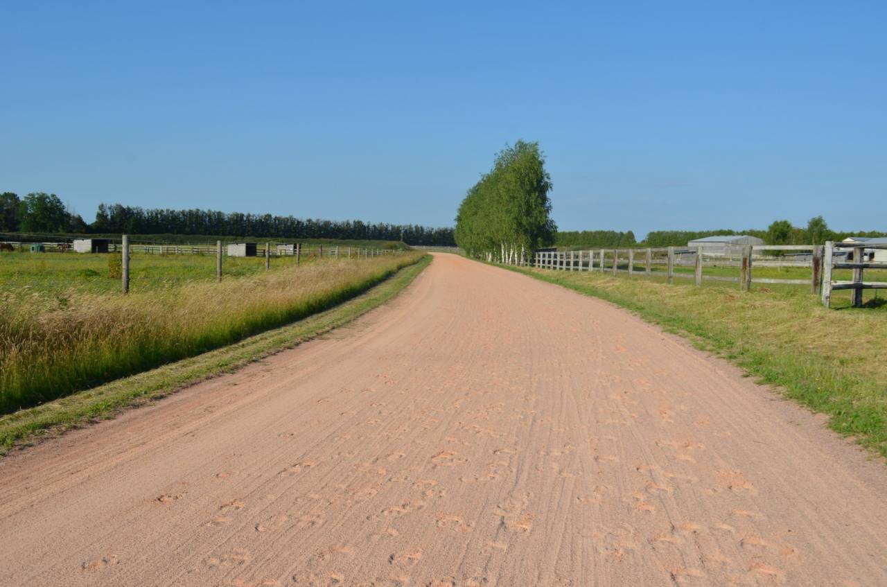 Stoeterij Koop Calvados
