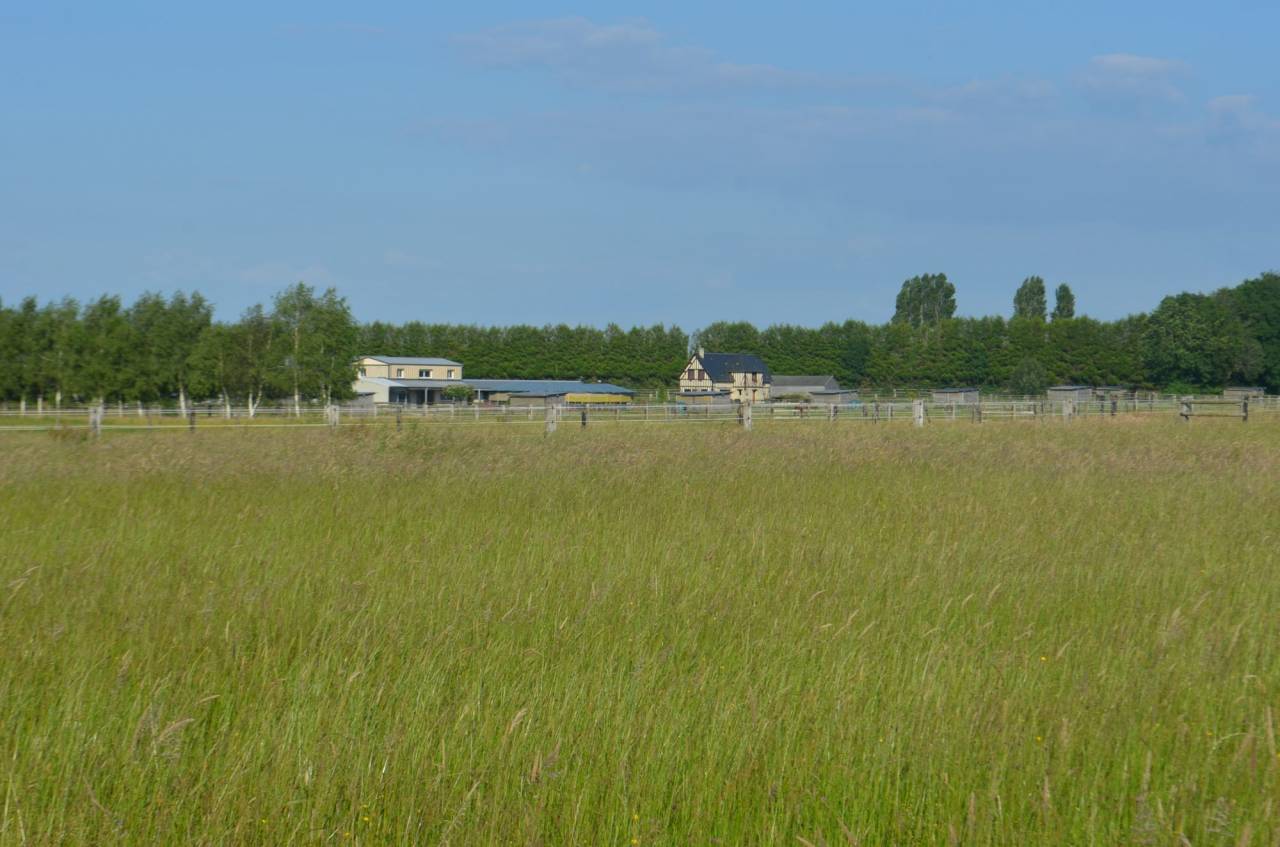 Stoeterij Koop Calvados