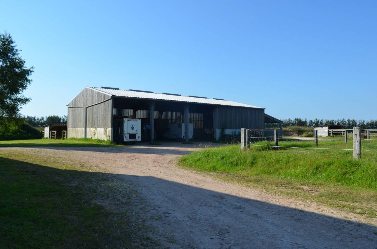 Stoeterij Koop Calvados