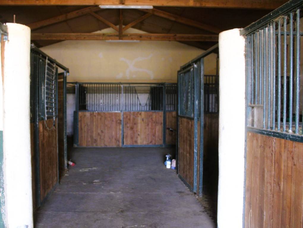 Hippisch vastgoed Koop Gers