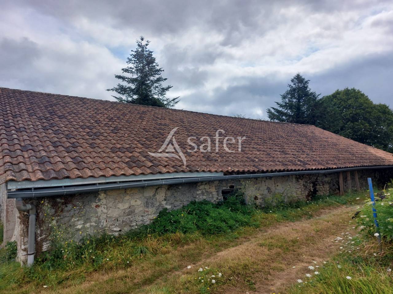 Schapen exploitatie Koop Dordogne