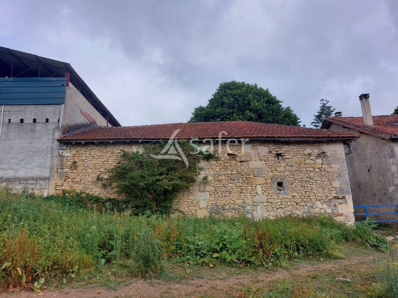 Schapen exploitatie Koop Dordogne