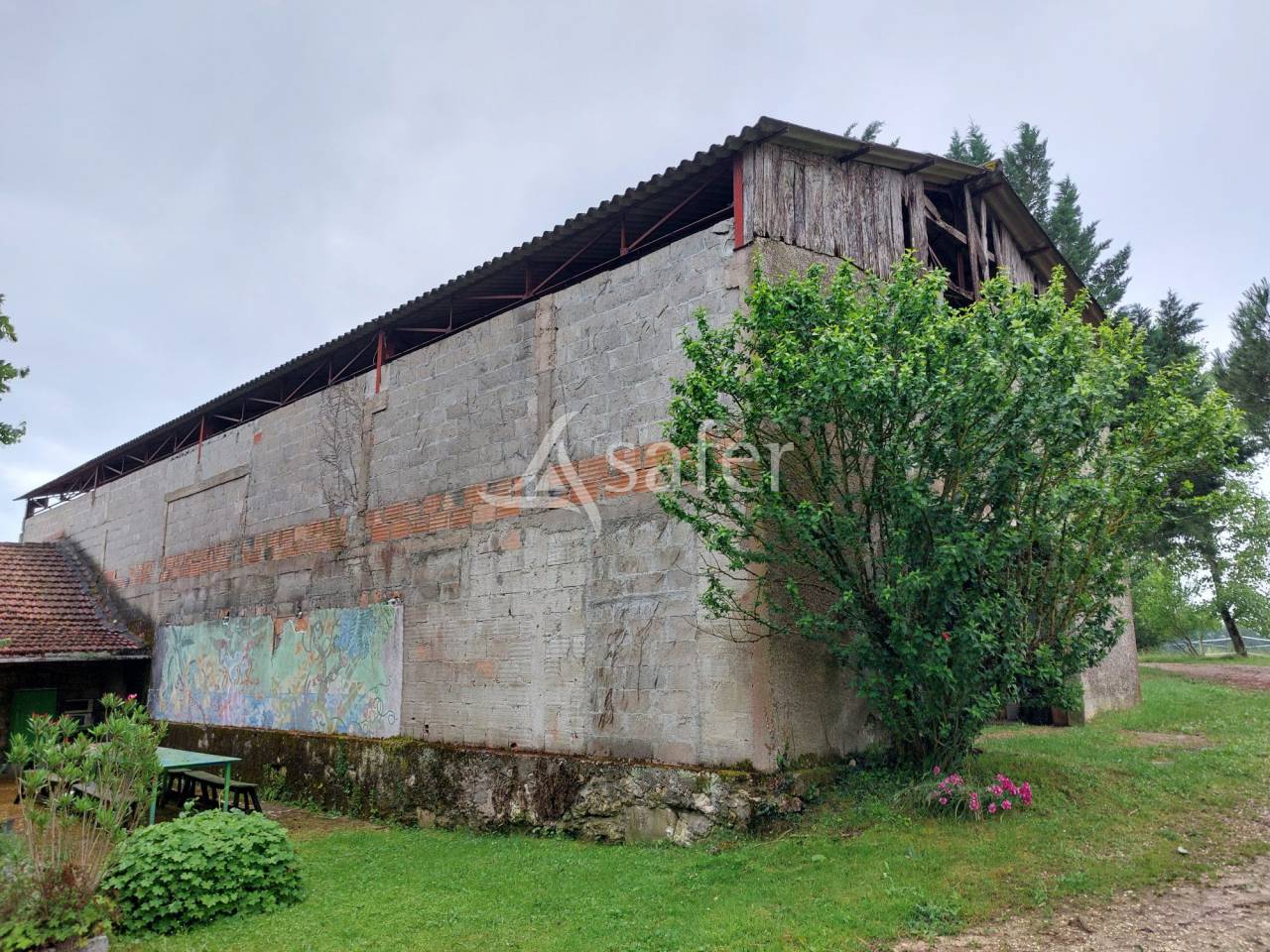 Schapen exploitatie Koop Dordogne