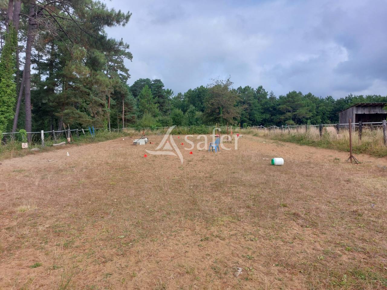 Schapen exploitatie Koop Dordogne