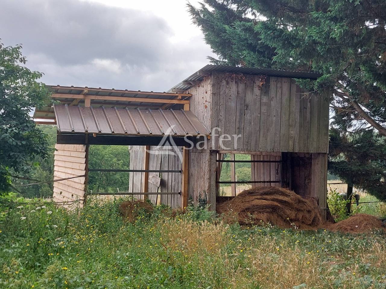 Schapen exploitatie Koop Dordogne