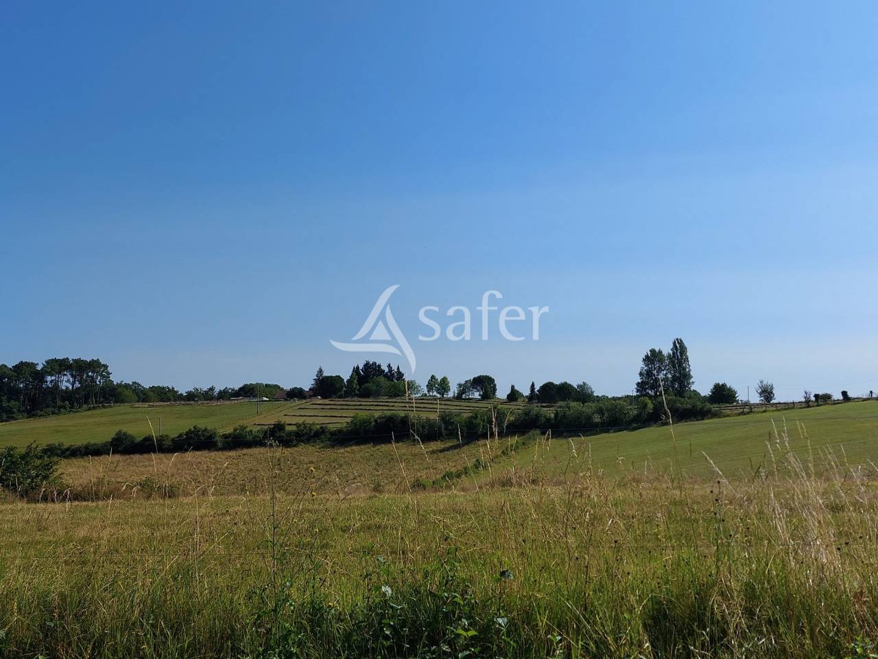 Schapen exploitatie Koop Dordogne