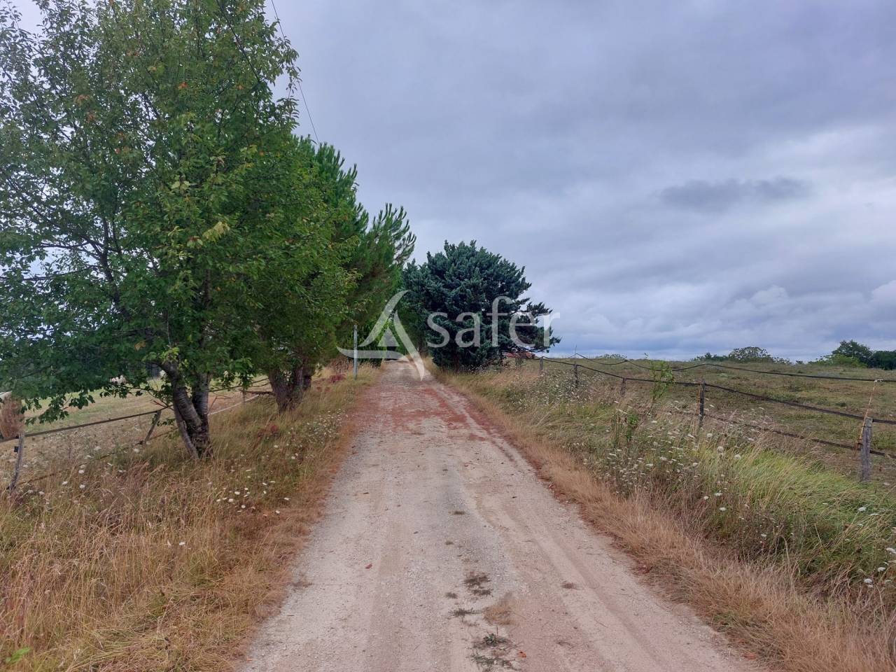 Schapen exploitatie Koop Dordogne