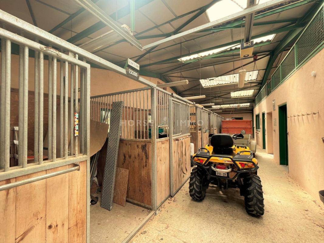 Hippisch vastgoed Koop Indre-et-Loire