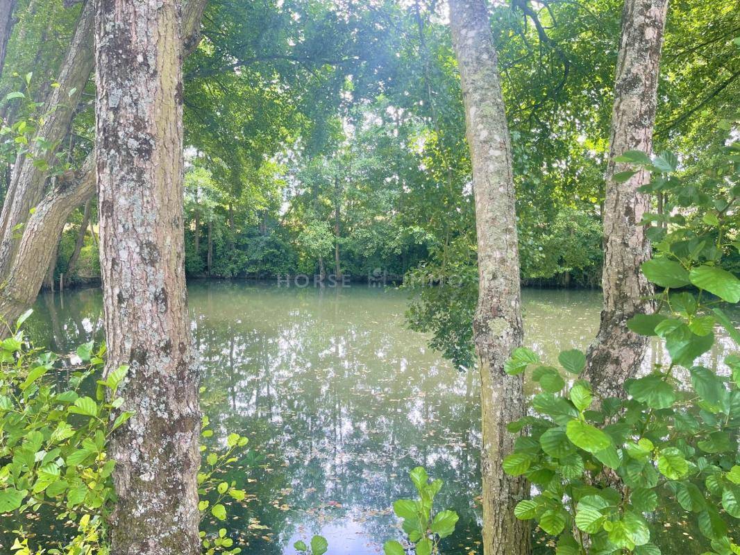 Hippisch vastgoed Koop Indre-et-Loire