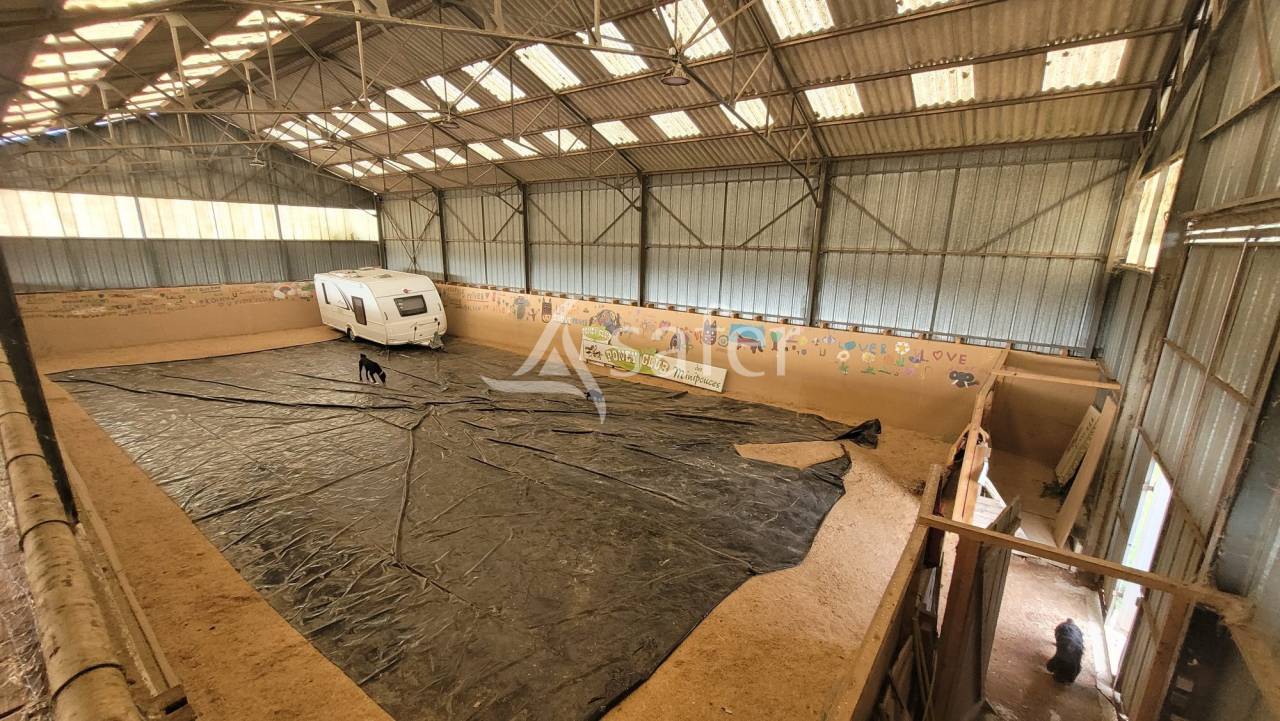 Hippisch vastgoed Koop Allier