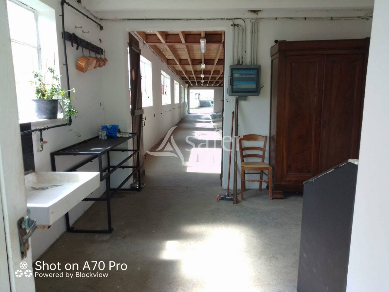 Hippisch vastgoed Koop Allier