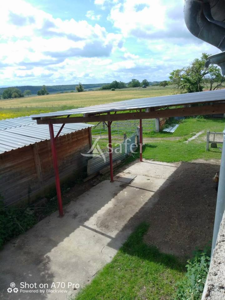 Hippisch vastgoed Koop Allier