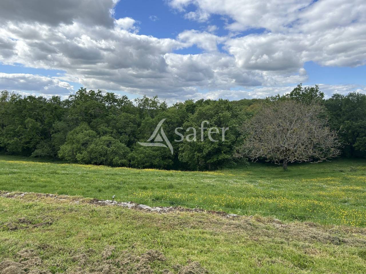 Landbouw bedrijf Koop Lot-et-Garonne