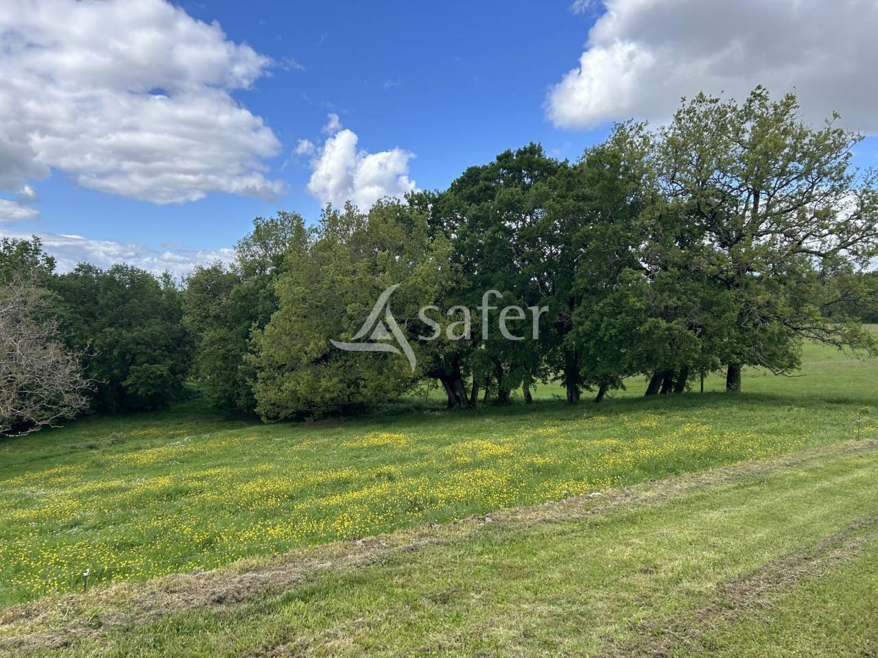 Landbouw bedrijf Koop Lot-et-Garonne