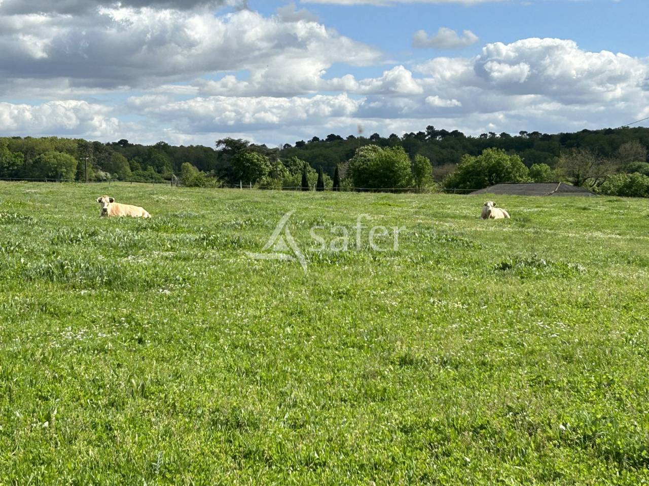 Landbouw bedrijf Koop Lot-et-Garonne
