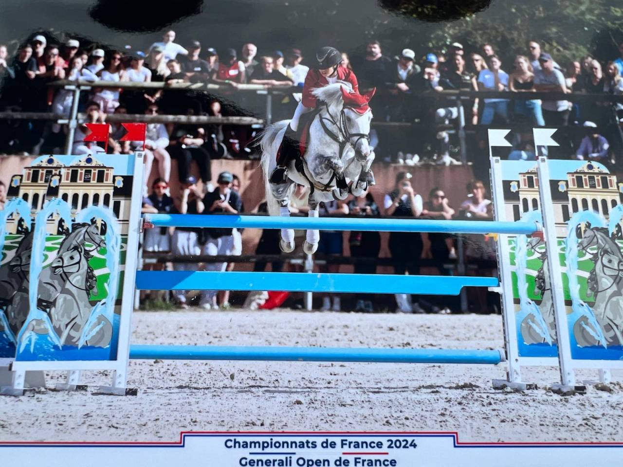 Dekhengst Nederlandse pony Te leen 2012 Schimmel