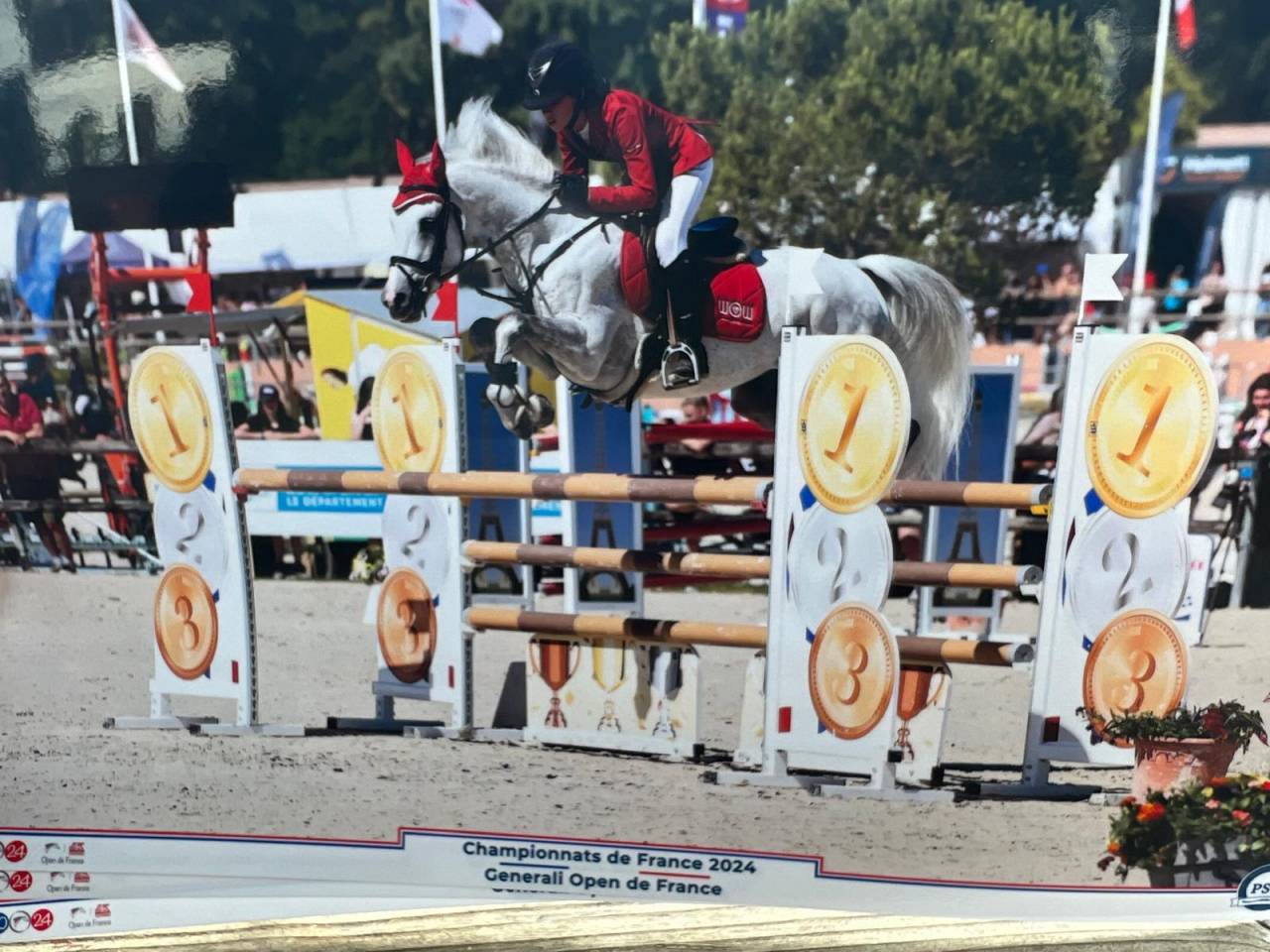 Dekhengst Nederlandse pony Te leen 2012 Schimmel