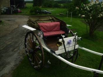 Rijtuigen - Calèche Fenix Rijtuigen  