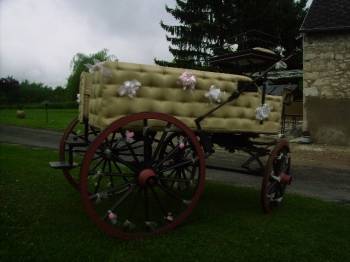 Rijtuigen - Calèche Fenix Rijtuigen  