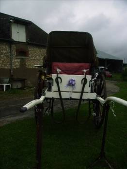 Rijtuigen - Calèche Fenix Rijtuigen  