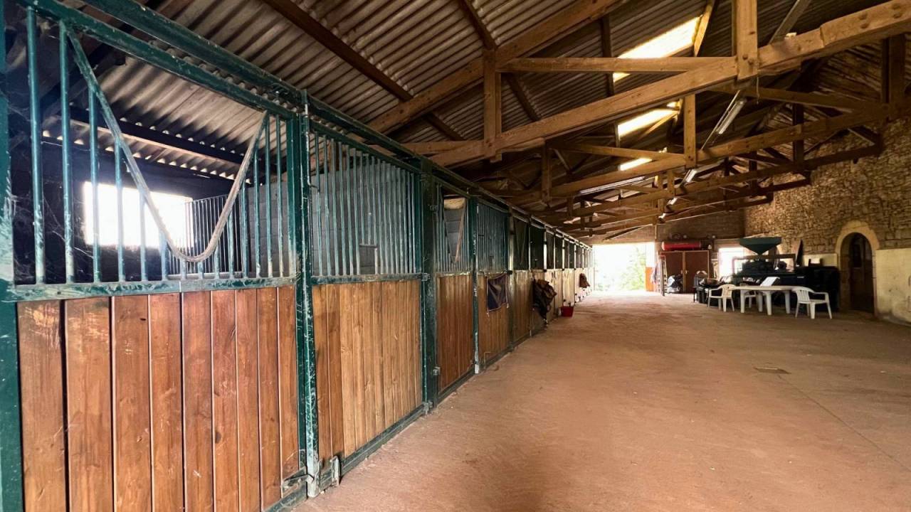 Hippisch vastgoed Koop Lot