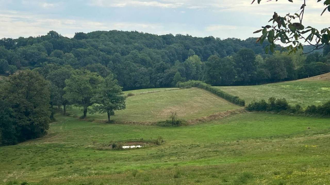 Hippisch vastgoed Koop Lot