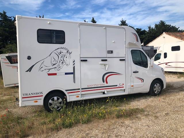 Kleine paardenvrachtwagen (B rijbewijs) Trans Box New Svelto 3 2020 Tweedehands