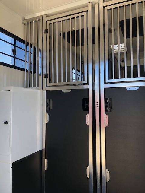 Kleine paardenvrachtwagen (B rijbewijs) Trans Box New Svelto 3 2020 Tweedehands