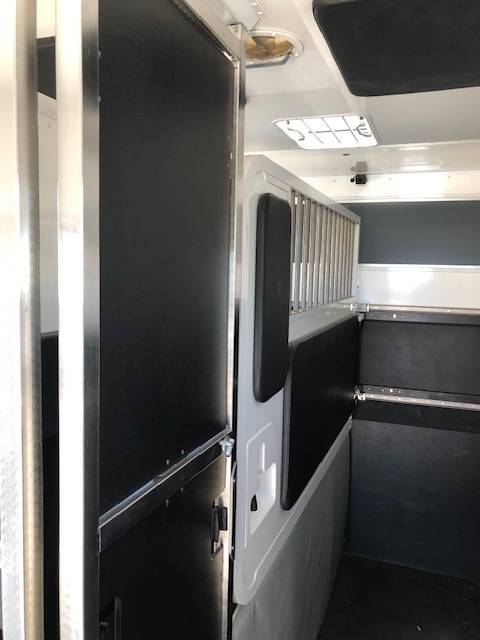 Kleine paardenvrachtwagen (B rijbewijs) Trans Box New Svelto 3 2020 Tweedehands