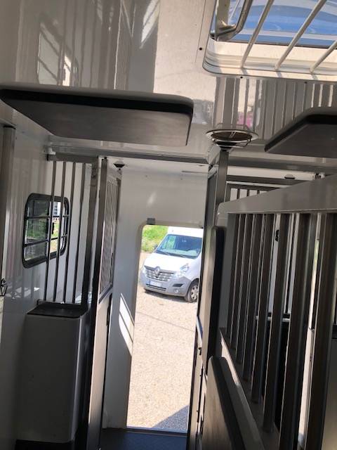 Kleine paardenvrachtwagen (B rijbewijs) Trans Box New Svelto 3 2020 Tweedehands
