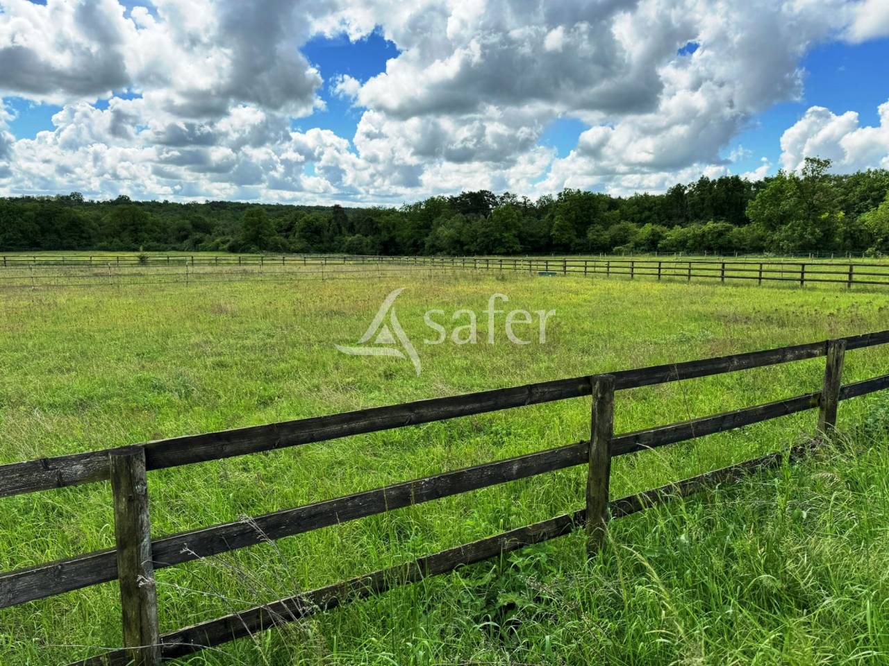 Hippisch vastgoed Koop Seine-et-Marne