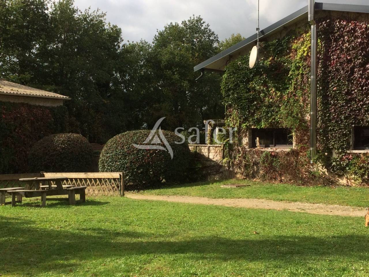 Hippisch vastgoed Koop Seine-et-Marne