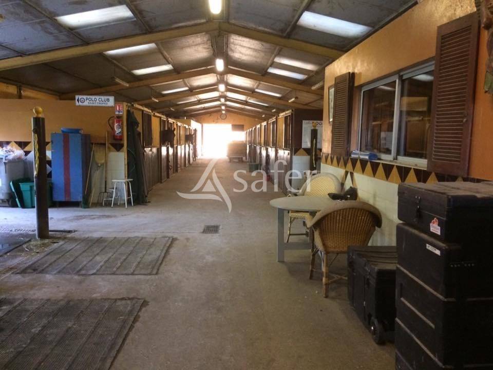 Hippisch vastgoed Koop Seine-et-Marne