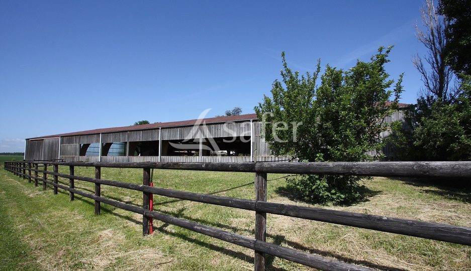 Hippisch vastgoed Koop Seine-et-Marne