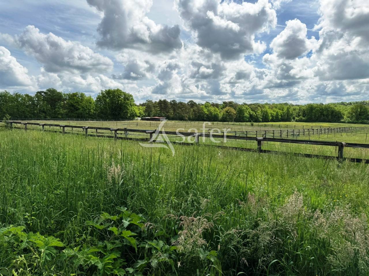 Hippisch vastgoed Koop Seine-et-Marne
