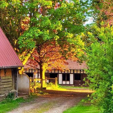 Stoeterij Koop Seine-Maritime