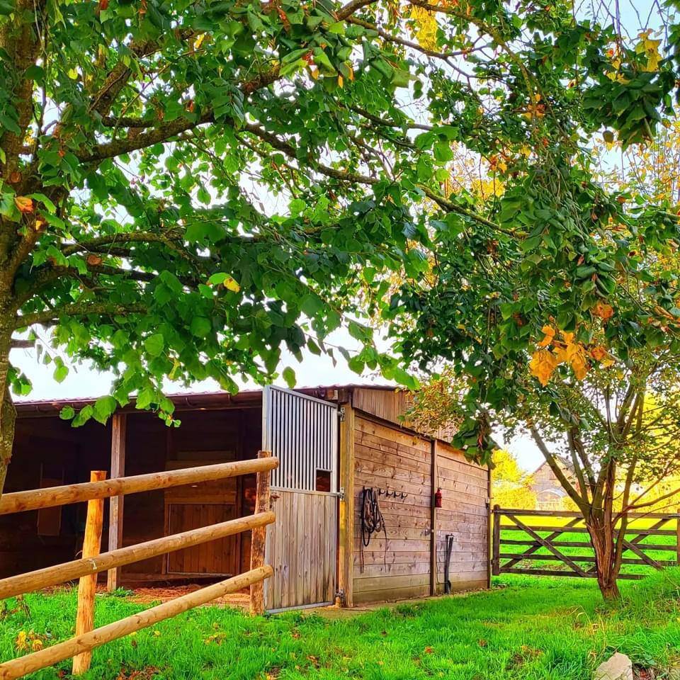 Stoeterij Koop Seine-Maritime