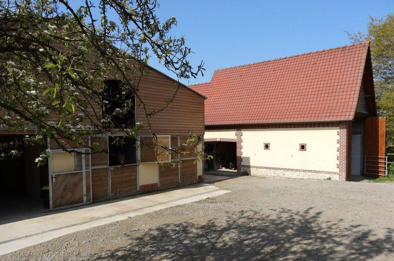 Stoeterij Koop Seine-Maritime