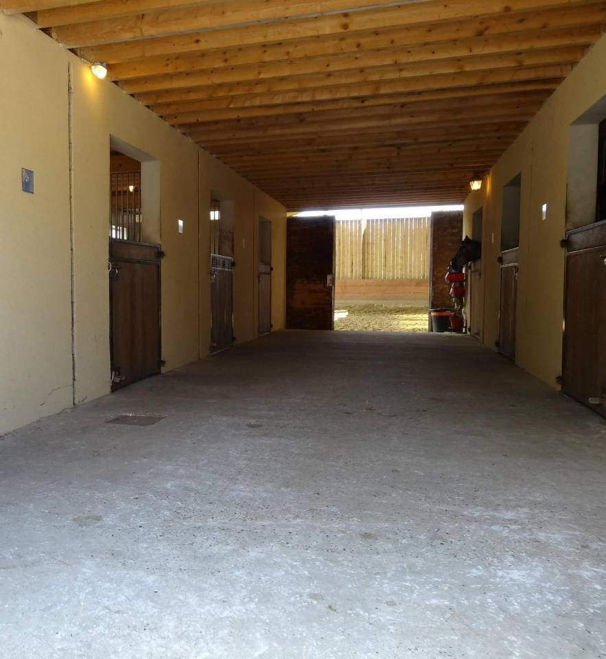 Stoeterij Koop Seine-Maritime