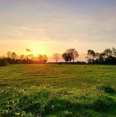 Stoeterij Koop Seine-Maritime