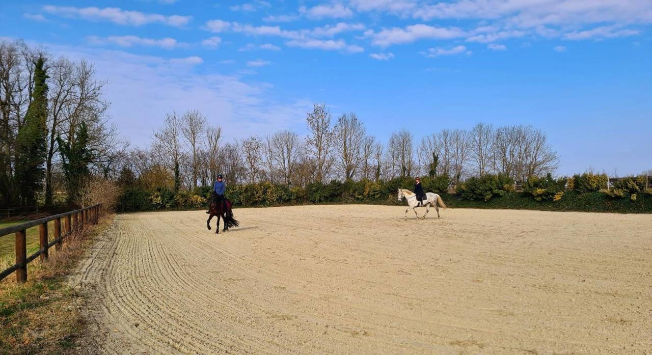 Stoeterij Koop Seine-Maritime