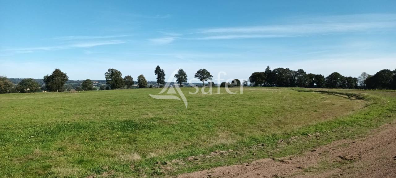 Bos exploitatie Koop Orne