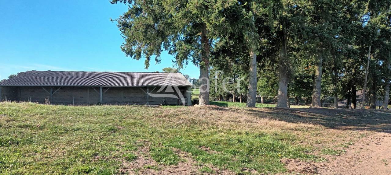 Bos exploitatie Koop Orne