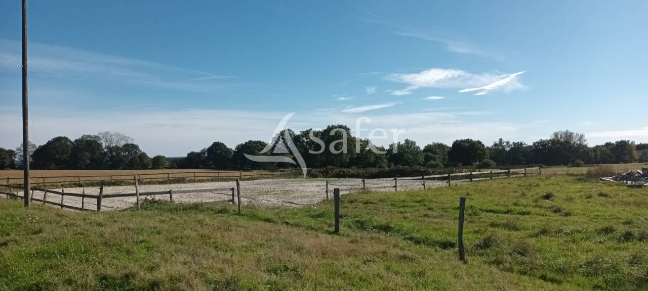 Bos exploitatie Koop Orne